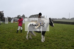 Holsworthy-Ring-A-48