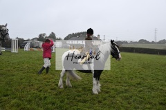 Holsworthy-Ring-A-50