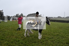 Holsworthy-Ring-A-51