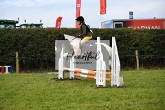 Holsworthy-Ring-A-55