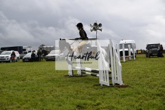 Holsworthy-Ring-A-57