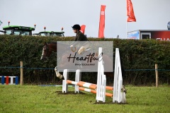 Holsworthy-Ring-A-68