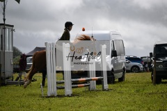 Holsworthy-Ring-A-75