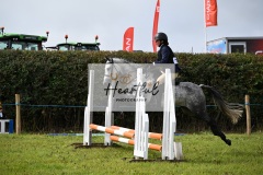 Holsworthy-Ring-A-77