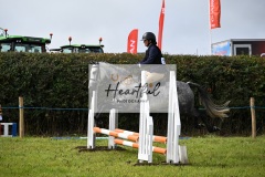 Holsworthy-Ring-A-78