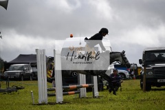 Holsworthy-Ring-A-80