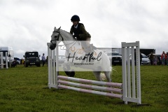 Holsworthy-Ring-A-81