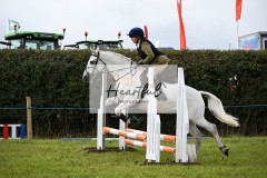 Holsworthy-Ring-A-82