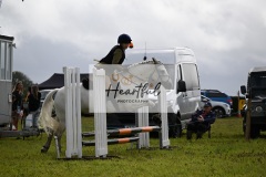 Holsworthy-Ring-A-85