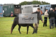 Holsworthy-Ring-B-01