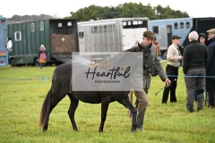 Holsworthy-Ring-B-02