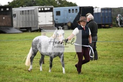 Holsworthy-Ring-B-03