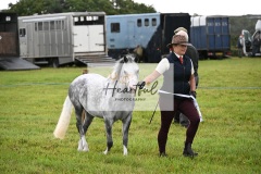 Holsworthy-Ring-B-04