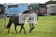 Holsworthy-Ring-B-06