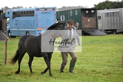 Holsworthy-Ring-B-07