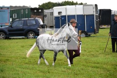 Holsworthy-Ring-B-09