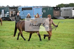 Holsworthy-Ring-B-10