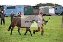 Holsworthy-Ring-B-11