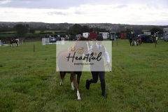 Holsworthy-Ring-B-13