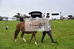 Holsworthy-Ring-B-14