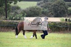 Holsworthy-Ring-B-15