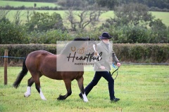 Holsworthy-Ring-B-16