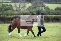 Holsworthy-Ring-B-17