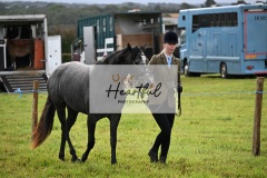 Holsworthy-Ring-B-18