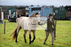 Holsworthy-Ring-B-19