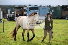 Holsworthy-Ring-B-20