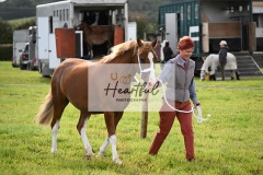 Holsworthy-Ring-B-21