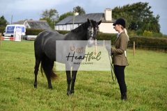 Holsworthy-Ring-B-22