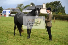 Holsworthy-Ring-B-23