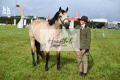 Holsworthy-Ring-B-24