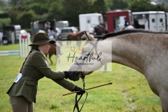 Holsworthy-Ring-B-26