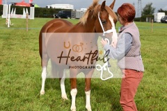 Holsworthy-Ring-B-27