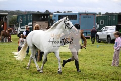 Holsworthy-Ring-B-28