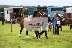 Holsworthy-Ring-B-29