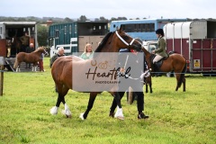 Holsworthy-Ring-B-30