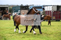 Holsworthy-Ring-B-31