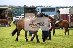 Holsworthy-Ring-B-32