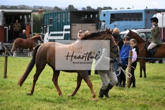 Holsworthy-Ring-B-33