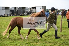 Holsworthy-Ring-B-35