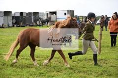 Holsworthy-Ring-B-36