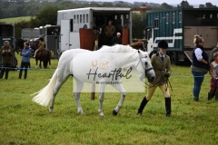 Holsworthy-Ring-B-37