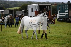 Holsworthy-Ring-B-38