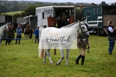 Holsworthy-Ring-B-39