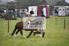 Holsworthy-Ring-B-40