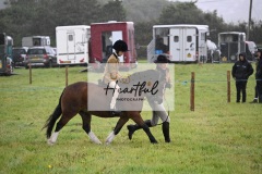 Holsworthy-Ring-B-41