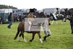 Holsworthy-Ring-B-42